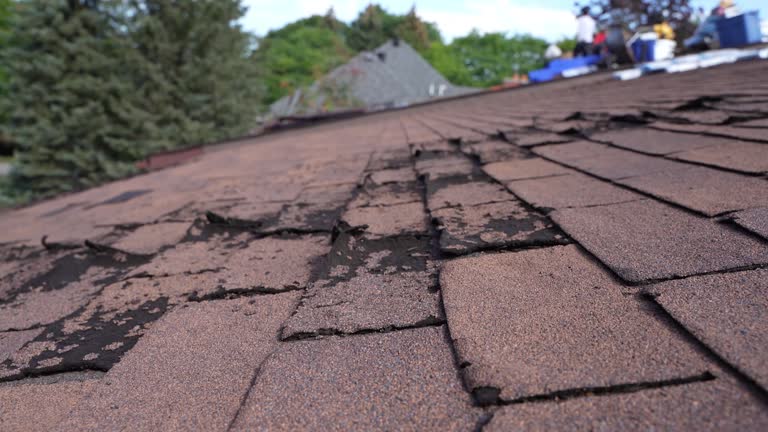 Trusted Cascade, IA Roofing Service Experts