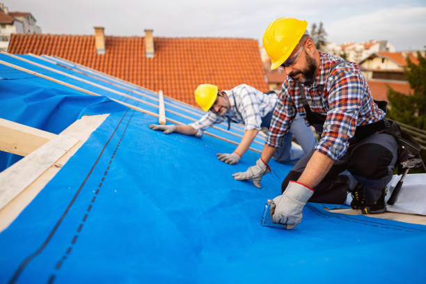 Best Chimney Flashing Repair  in Cascade, IA