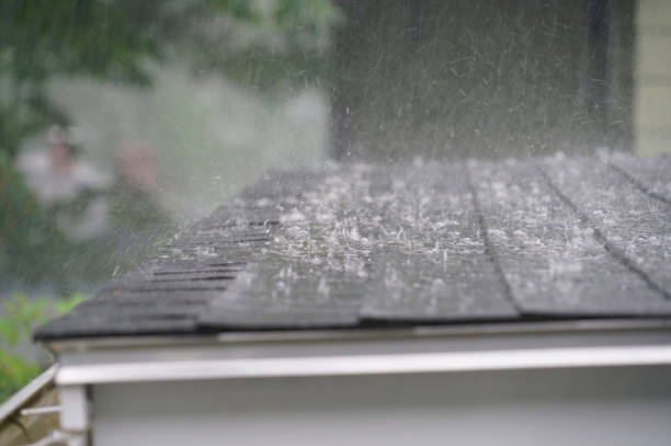 Best Skylight Installation and Repair  in Cascade, IA