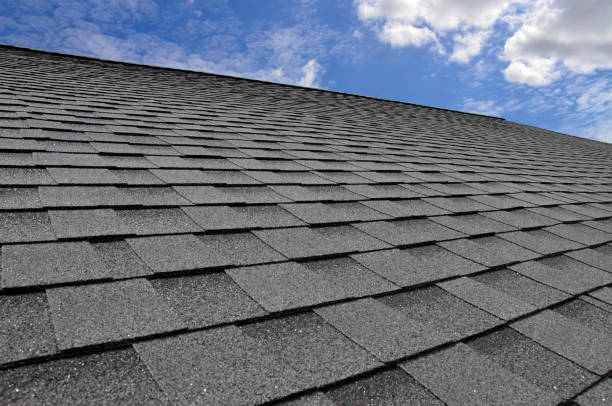 Best Roof Moss and Algae Removal  in Cascade, IA